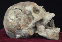 Human skeletons of more than 1,600 years old