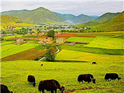 Picturesque Xinduqiao town in SW China