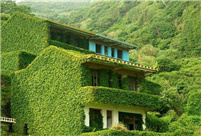 Abandoned village swallowed by nature