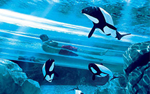 Get ready for the world's most thrilling water rides