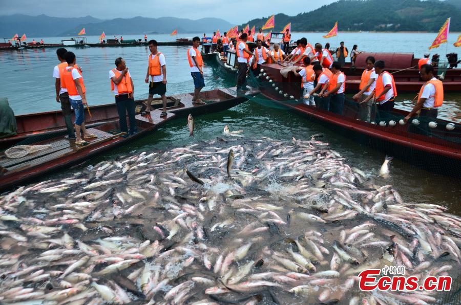10,000 share soup with supersized pot