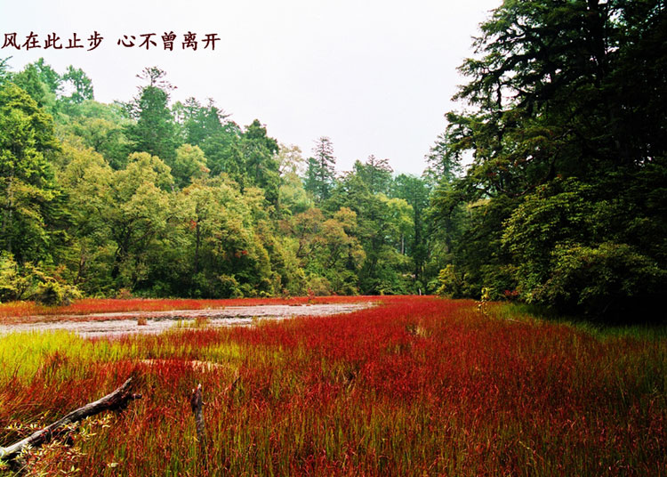Walking in picturesque Conch Gully in autumn