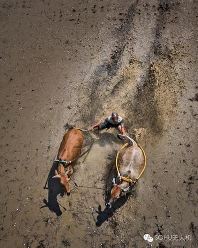 Works from China’s first UAV photo contest