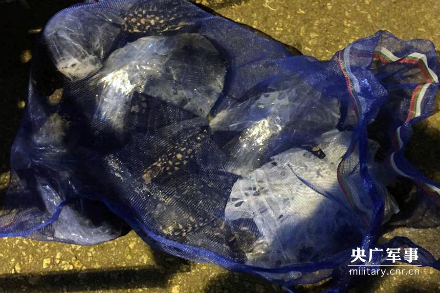 Police seizes 282 smuggled rare turtles in Shenzhen