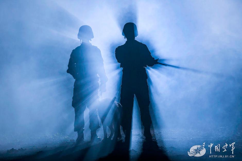 Military dogs of PLA Air Force in training