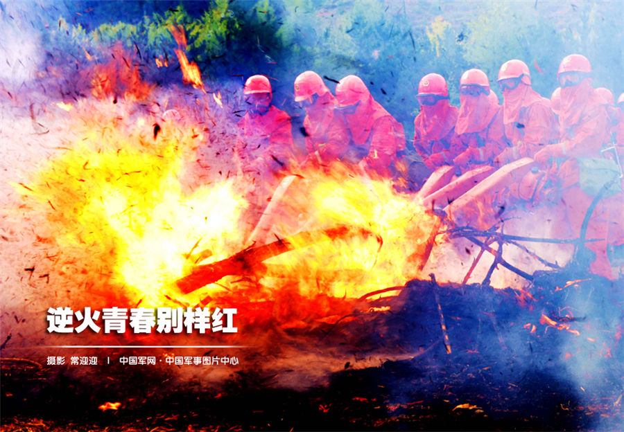 Brave Chinese People's Armed Police forest unit