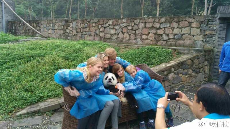 The King of ??Netherlands? to Take Home Two ??Pandas? from China