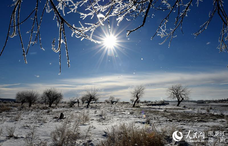 Rime scenery along the Heilongjiang River