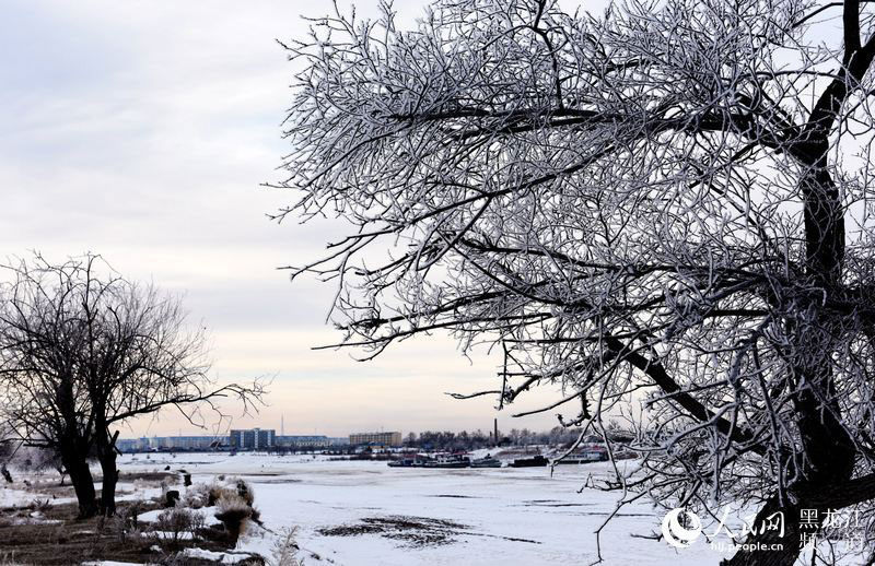 Rime scenery along the Heilongjiang River