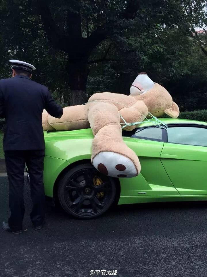 Police pull over a Lamborghini with a teddy bear strapped on the roof