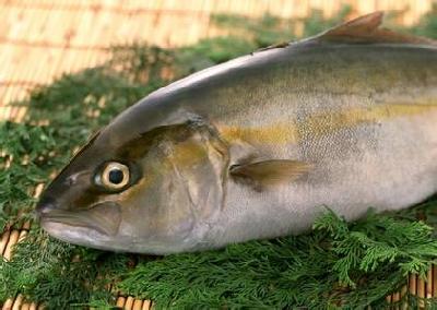 14 kinds of food scraps have amazing health effects
