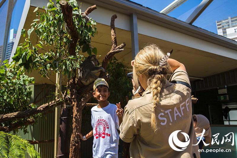 An Encounter With Aussie Wildlife In The Wild Life Sydney Zoo
