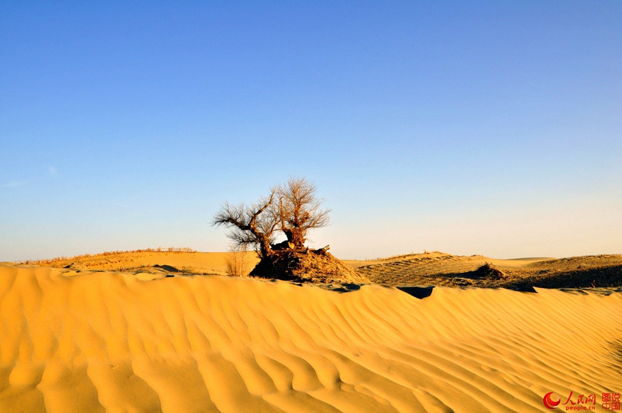 Breathtaking scenery alongside Hotan desert highway