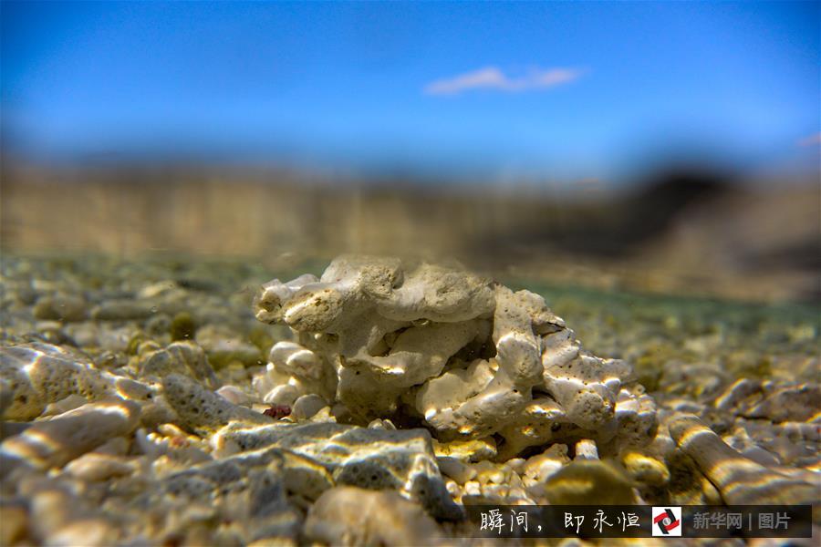 Amazing and mysterious underwater scenery of Sansha