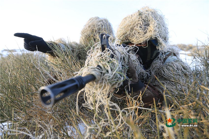 China's Marine Corps conducts collaborative drill in NW China
