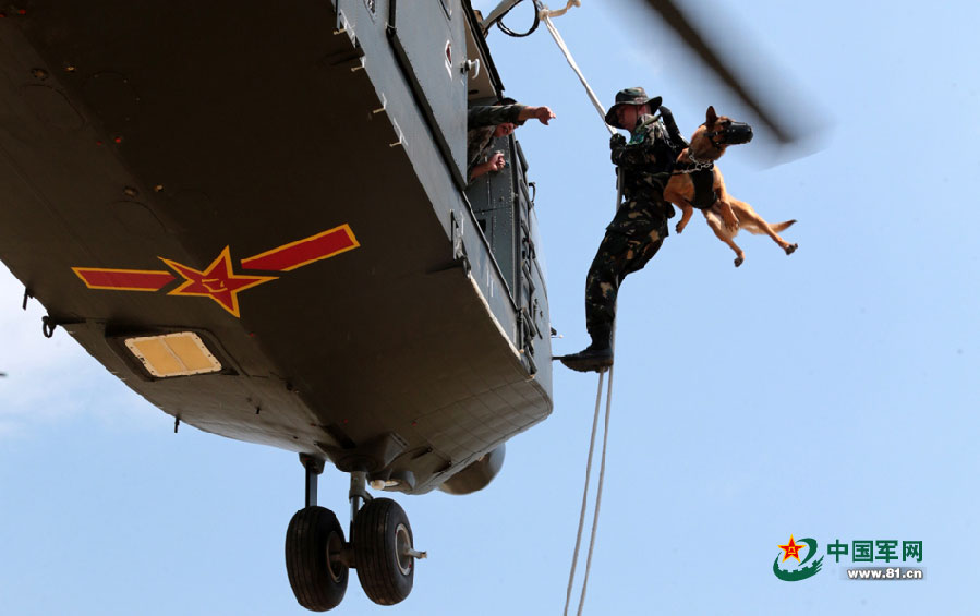 Hi, Buddy! Thank you for your love
