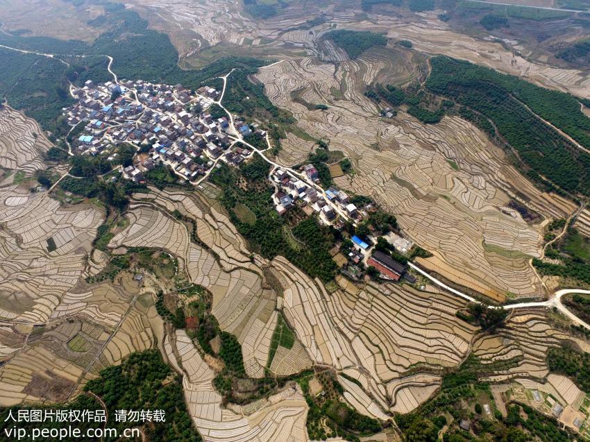 Magnificent aerial views of terrace fields in SW China