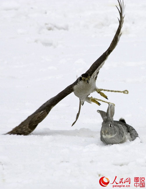 Charming folk customs in Kalajun Grassland
