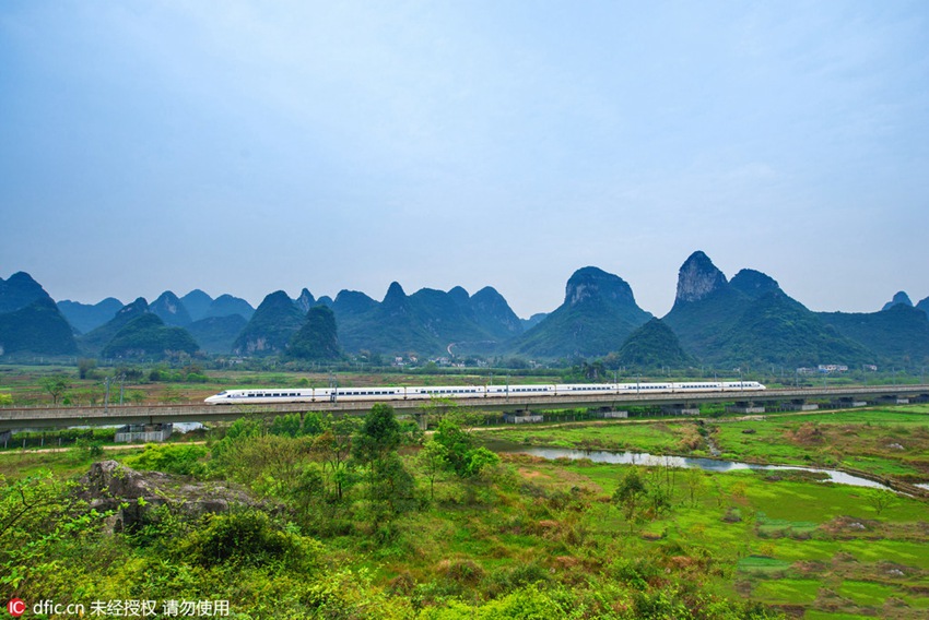 Train rides through blossoms