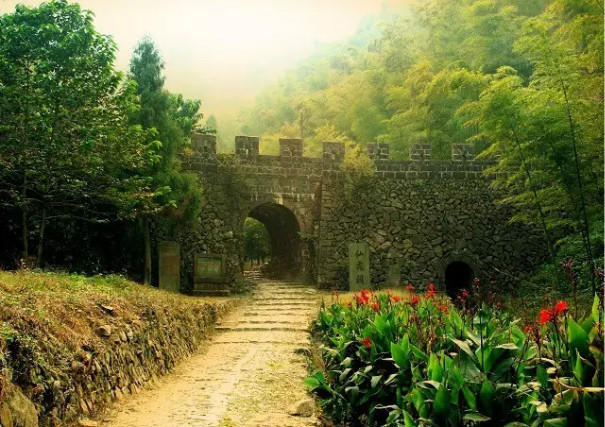 The most beautiful forest trails in East China's Zhejiang