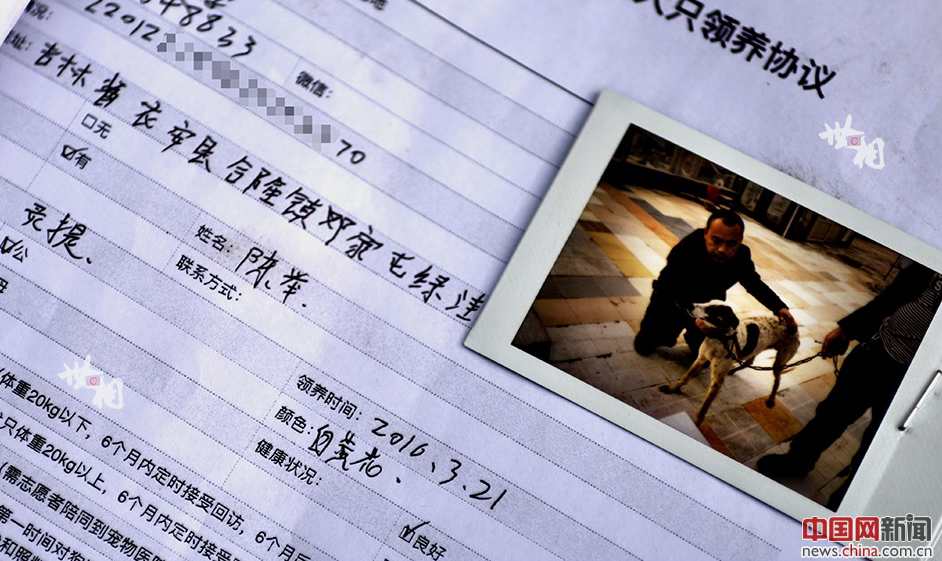 Man rescues over 5,000 abandoned dogs in three years