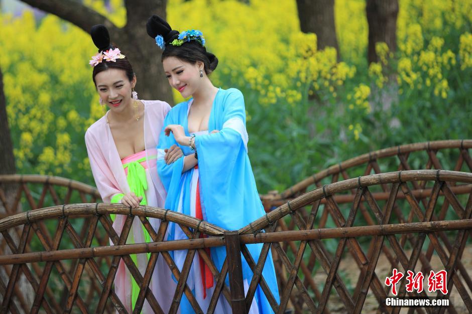 Beauties wearing Tang dynasty costume pick tea leaves 