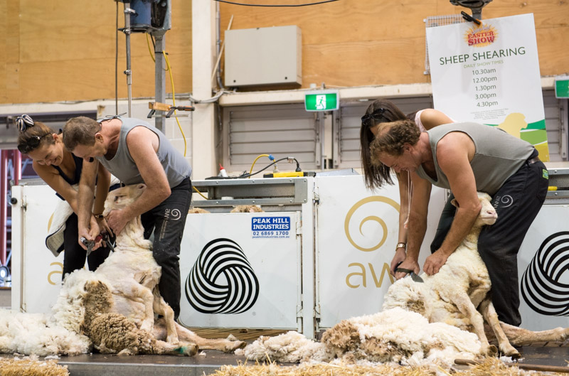 Sydney Royal Easter Show attracts 85,000 attendees 