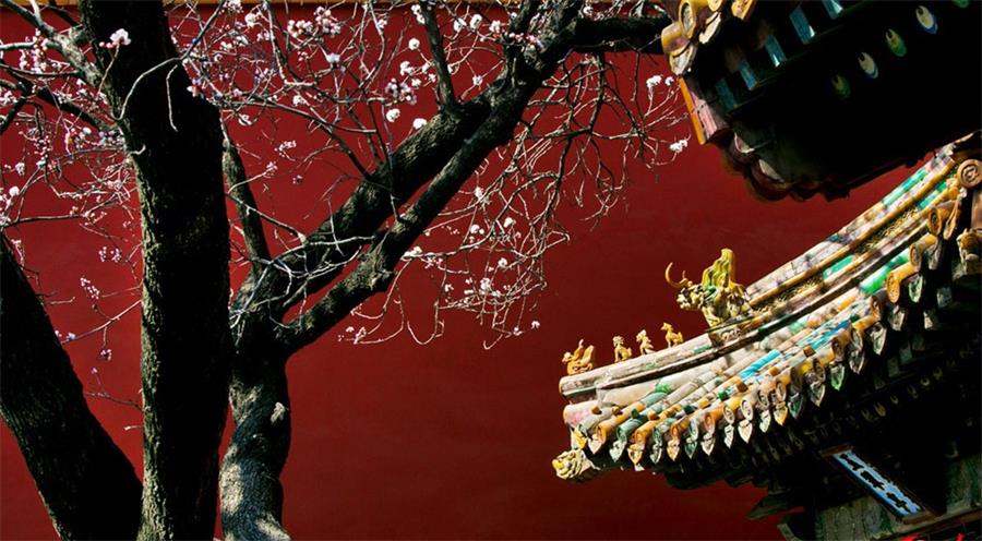 Spring scenery of Beijing