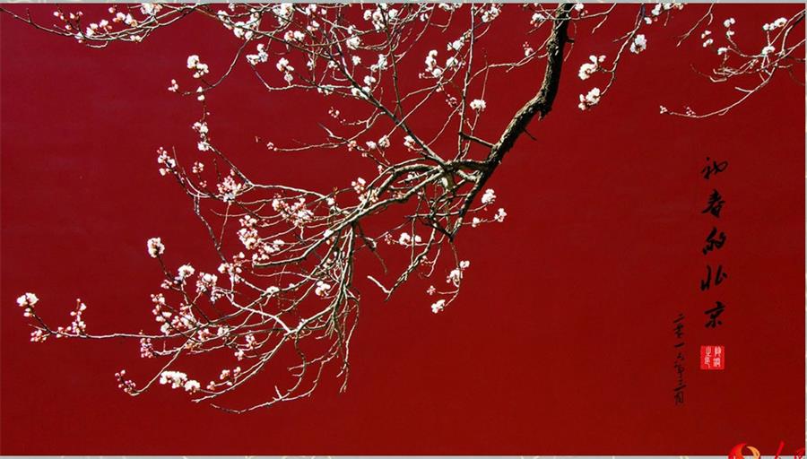 Spring scenery of Beijing