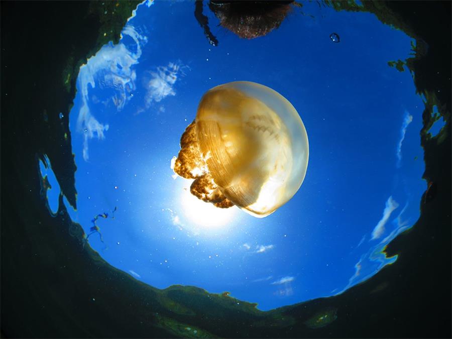 Amazing scenery of Xisha Islands