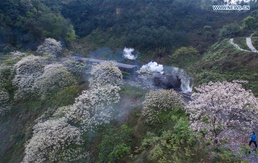 Steam train in SW China keeps operation, boosts tourism 