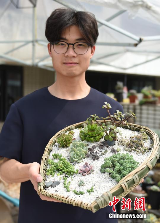 College student plants succulent in creative flower pots