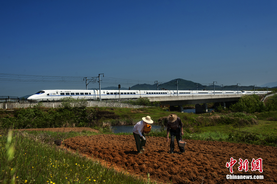 What a beautiful view! Bullet train running through fields