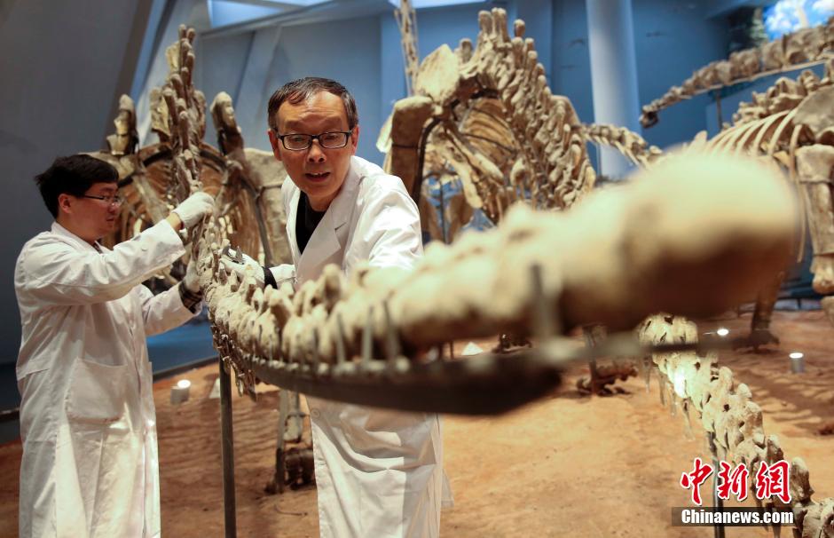 'Beauticians'of dinosaur fossils