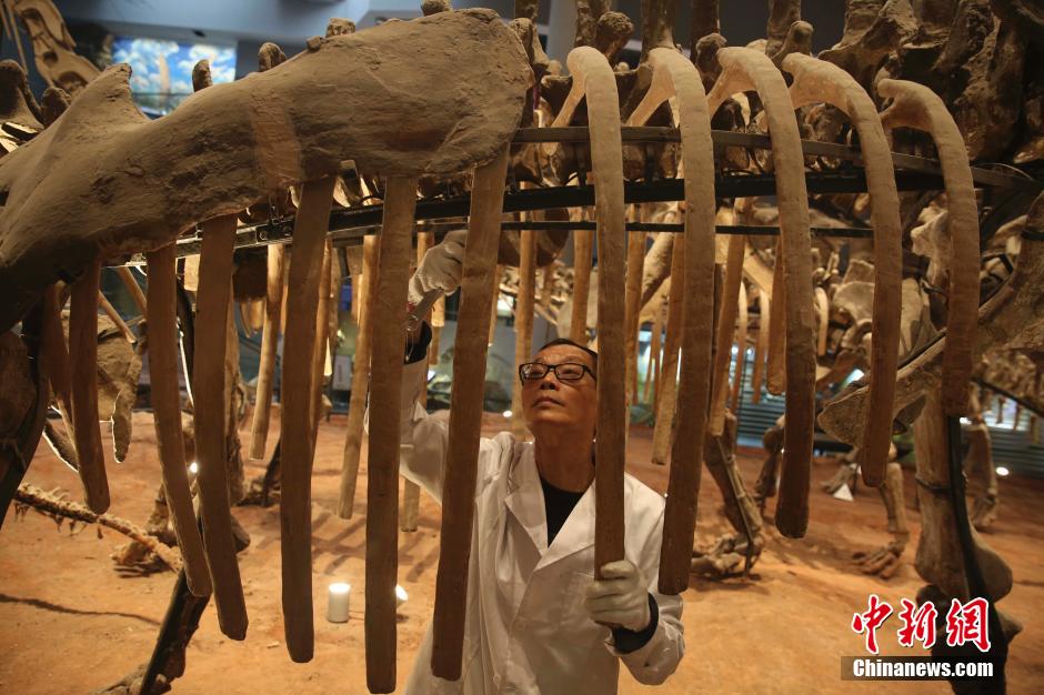 'Beauticians'of dinosaur fossils