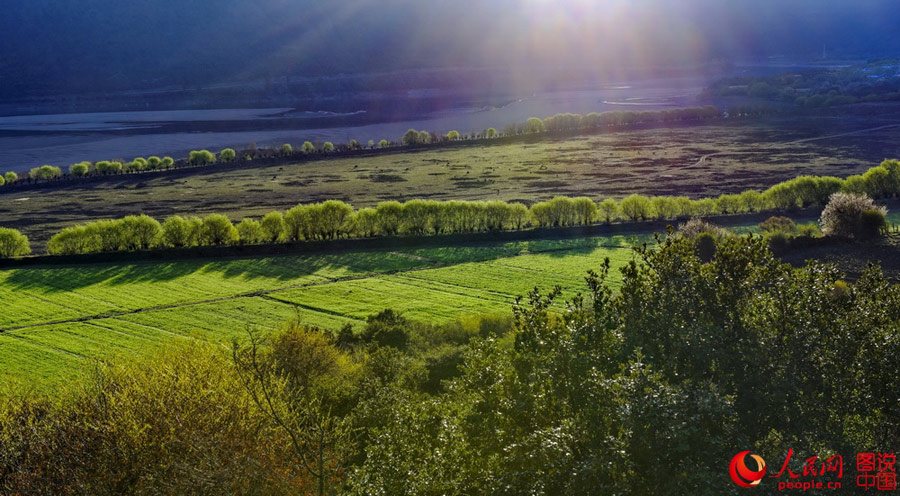 Nyingchi：Fairyland on earth