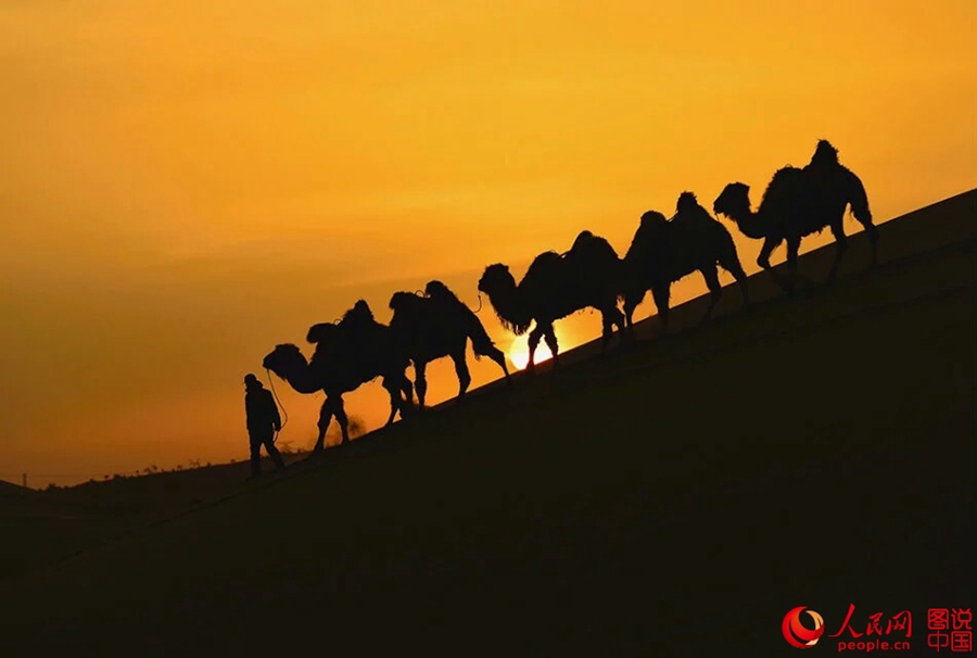 Serene desert view in Inner Mongolia