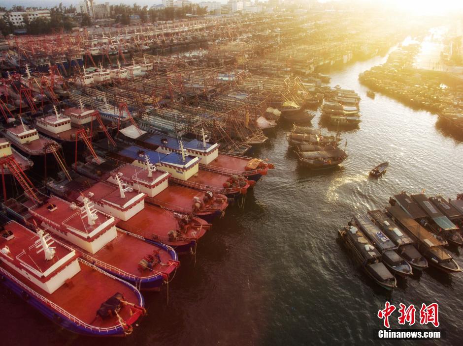 Thousand fishing vessels in Guangxi suspend summer fishing