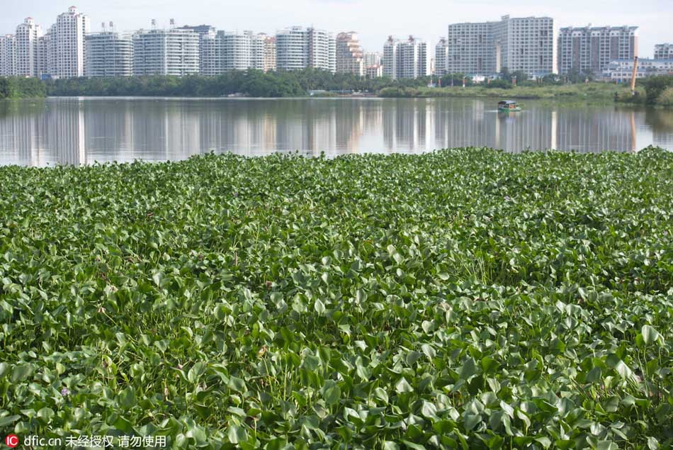 Hydropower station on ‘grassland’