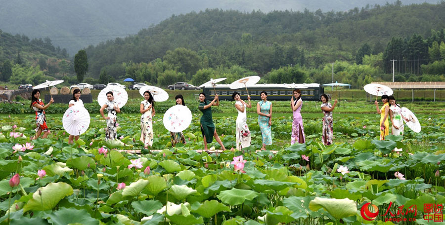 Cheongsam show held in lotus park in Zhejiang
