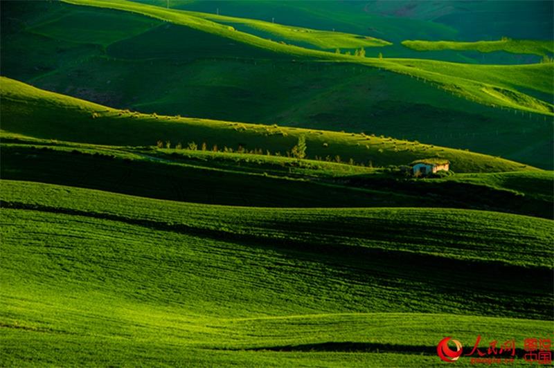 Beautiful Jiangbulak scenic spot