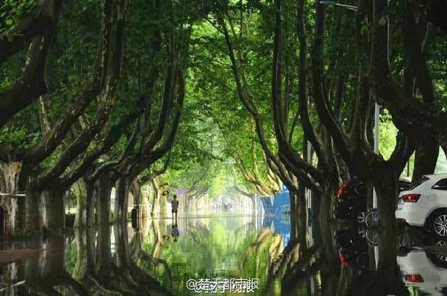 University campus turns into stunning 