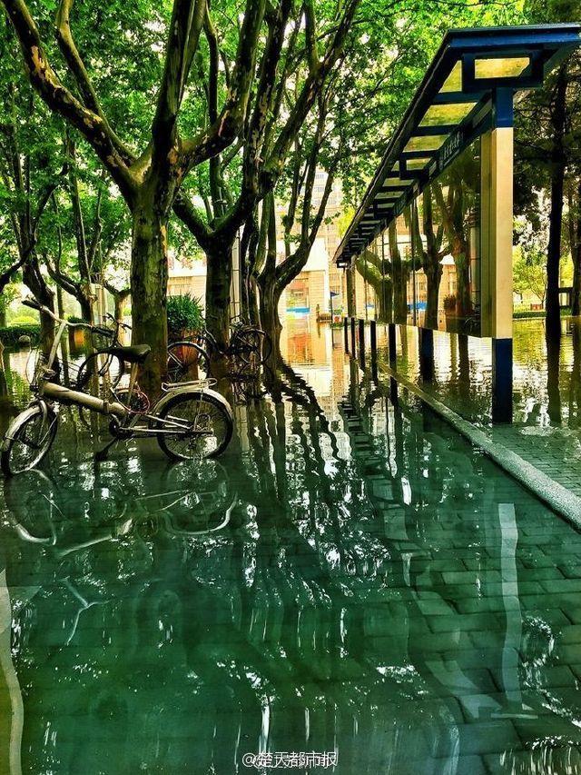 University campus turns into stunning 