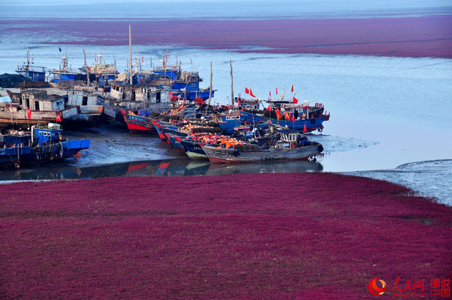 Unique red beach in Liaoning