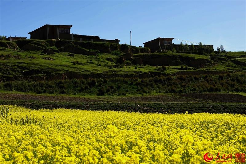 Summer scenes from Aba County