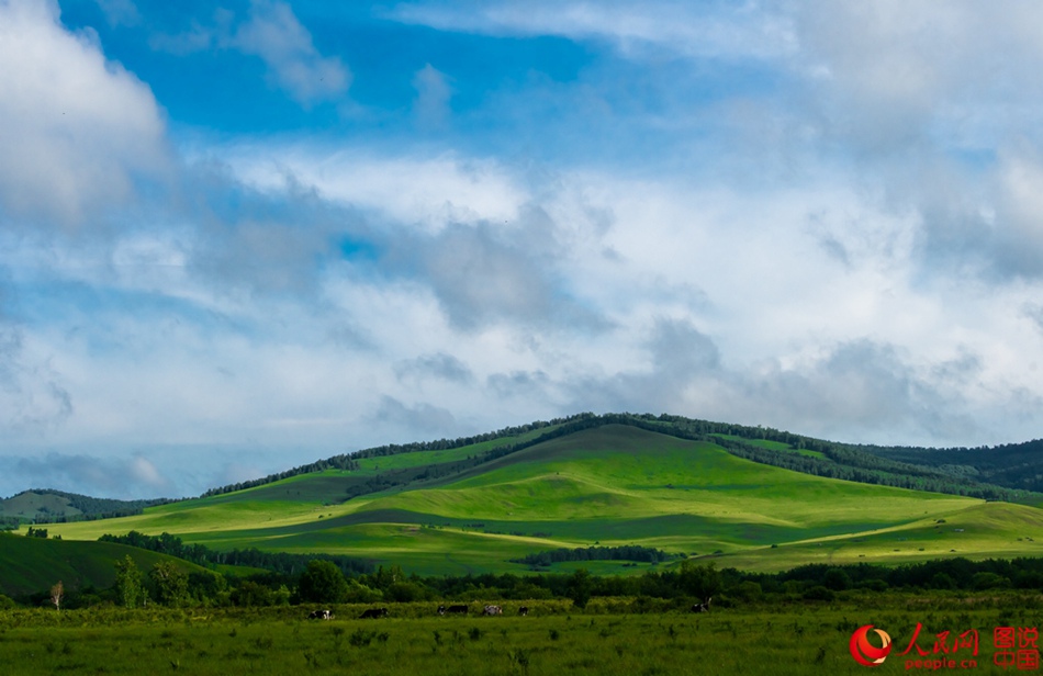 Breathtaking scenery of Hulun Buir grassland