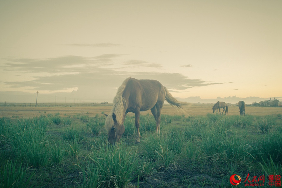 Breathtaking scenery of Hulun Buir grassland