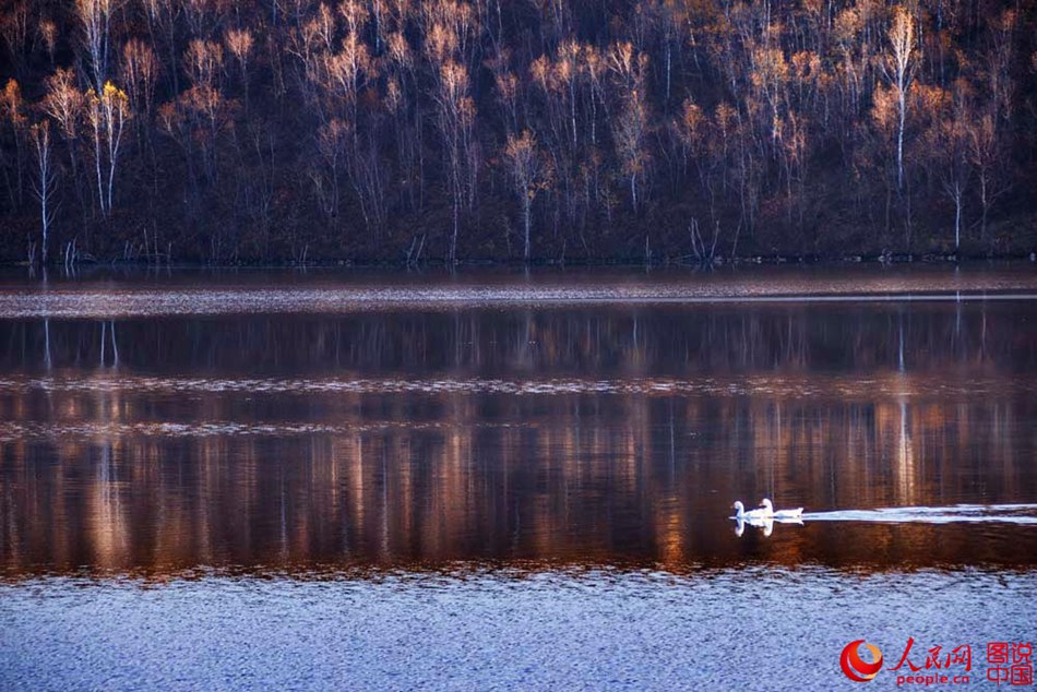Breathtaking autumn scenery of Greater Khingan 