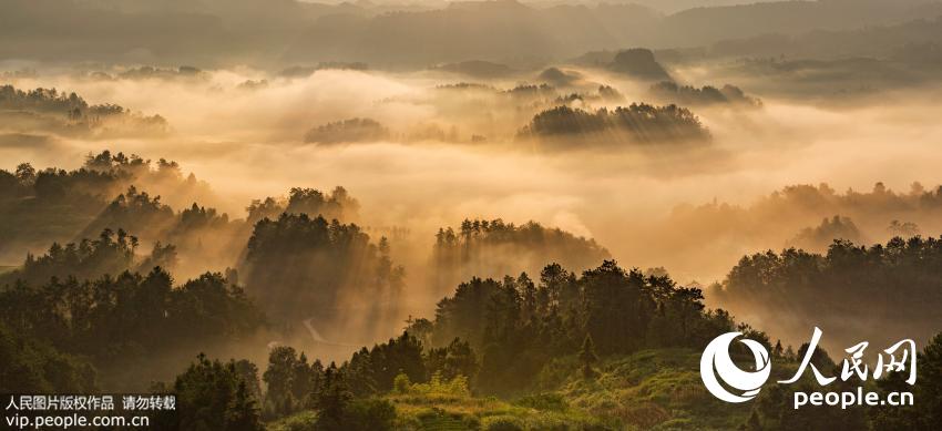 Chongqing, shrouded in mist