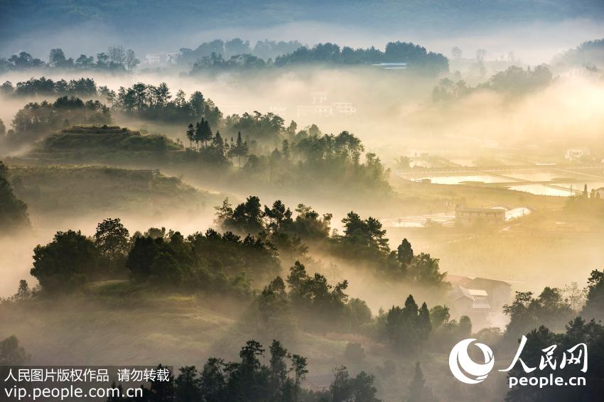 Chongqing, shrouded in mist